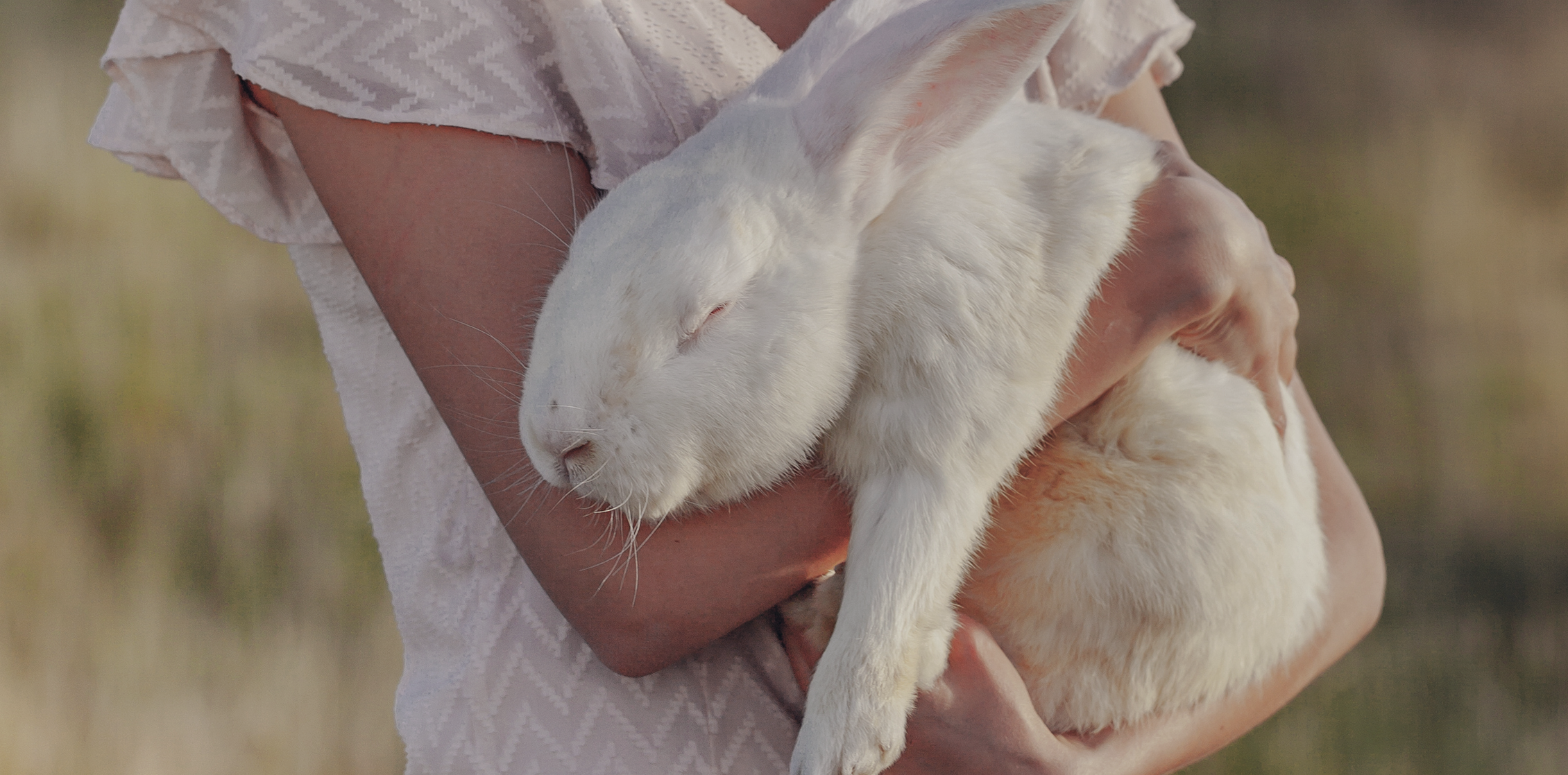 풀밭에서 한 사람이 크고 하얀 토끼를 두 손으로 안고 있고, 토끼는 눈을 감고 있는 평화로운 사진.